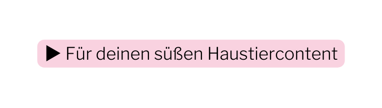 Für deinen süßen Haustiercontent